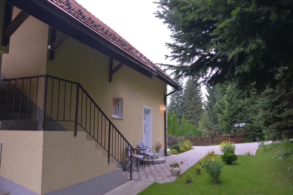 Dobrila Apartments Златибор Екстер'єр фото