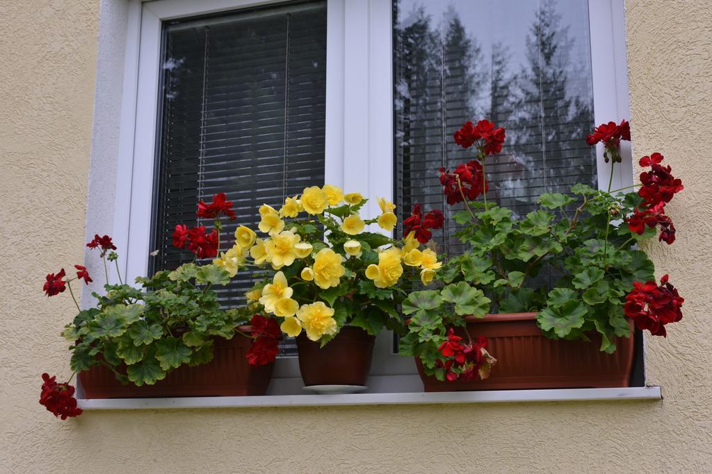 Dobrila Apartments Златибор Екстер'єр фото